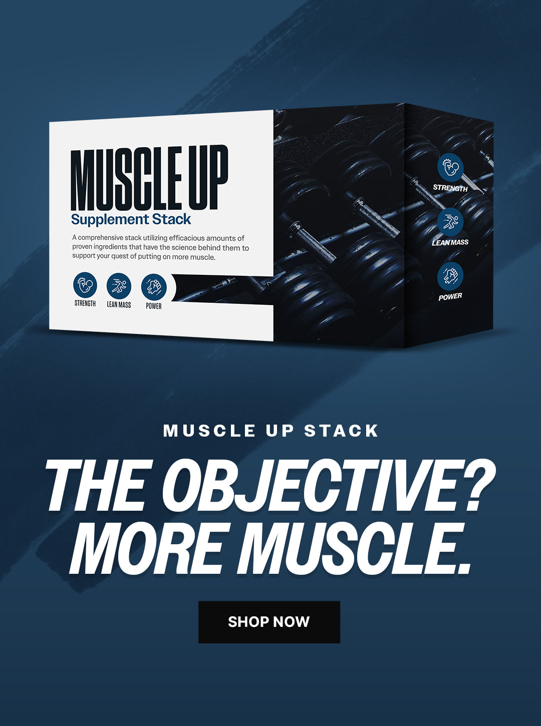 Muscle Up Stack